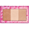 Urban Decay highlighter palette - Cosmetics - 