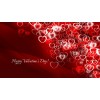Valentines Day - Uncategorized - 
