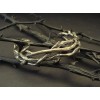 VampireGothic Etsy thorn bracelet - Mis fotografías - $64.48  ~ 55.38€