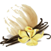 Vanilla - 小物 - 