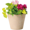 Vase - Other - 