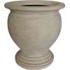 Vase - 植物 - 