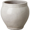 Vase - Plantas - 