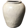 Vase - Rastline - 