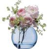 Vase - Pflanzen - 
