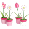 cvijeće - Objectos - 