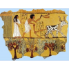 egipat - Illustrations - 