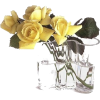 ruža i vaza - Rastline - 