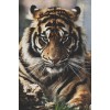 Tiger - Background - 