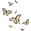 Vintage Butterflies - 自然 - 