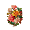 Vintage roses - Plantas - 