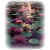 Water Flowers - 自然 - 