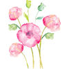Watercolor Flowers - Rastline - 