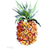 Watercolor Pineapple - イラスト - 