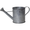 Watering Can - Items - 
