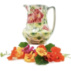 Water pitcher - Items - 