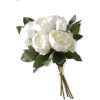 Wedding Flowers - Biljke - 