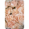 Wedding Flowers - Piante - 