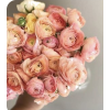 Wedding Flowers - Rastline - 