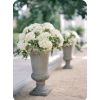 Wedding Flowers - Plantas - 