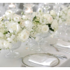 Wedding centerpiece - Rośliny - 