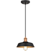 Westinghouse pendant ceiling light - Lights - 