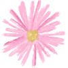 Whispy Pink Flower - Rastline - 