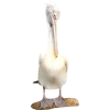 White bird - 动物 - 