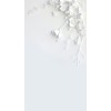 White Background - Pozadine - 