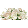 White Flowers - Natura - 