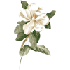 White Flowers - Natural - 