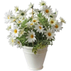 White. Green - Pflanzen - 