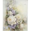 White Roses Background - Fundos - 