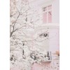 White and Pink Background - My photos - 