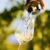 White wine - Uncategorized - 