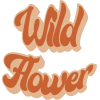 Wild Flower - イラスト用文字 - 