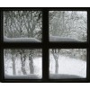 Window - Items - 