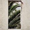 Window and trees - Buildings - 