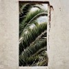 Window and trees - Edificios - 