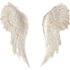 Wings - Objectos - 
