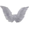 Wings - Artikel - 