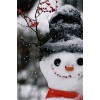 Winter Beauty Pic - My photos - 