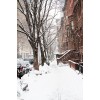 Winter Pic - Uncategorized - 