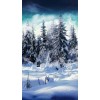 Winter Pic - Sfondo - 