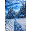 Winter Pic - Ozadje - 