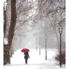 Winter - Ilustracje - 