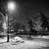 Winter - Moje fotografie - 