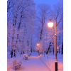 Winter dreaming - Background - 