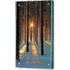 Winter pine - Illustrations - 