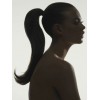 Woman Ponytail Silhouette - その他 - 